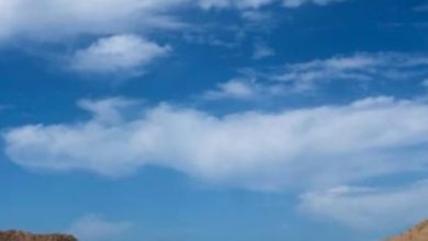 نشرة الأحوال الجوية