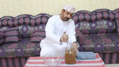 محمد بن سليمان الحديدي
