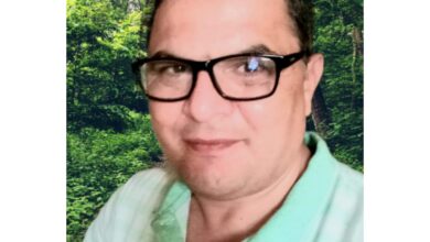 محمد السيد توفيق