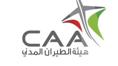 هيئة الطيران المدني