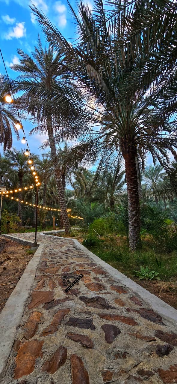 ممشى اللاجال