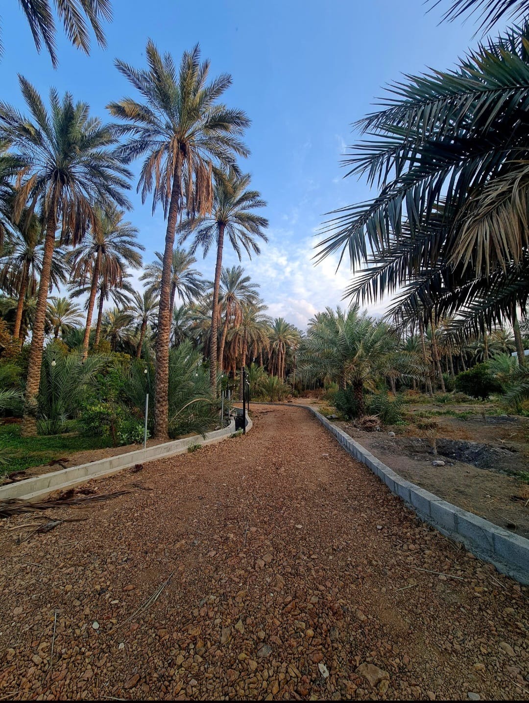 ممشى بساتين مسلمات